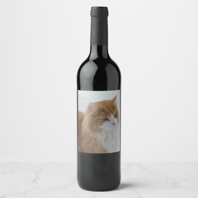 Rótulo De Garrafa De Cerveja Norueguês_Floresta_Cat (Frente)