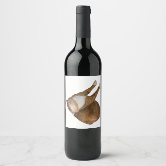 Rótulo De Garrafa De Cerveja Upside-Down Sunshine (Frente)