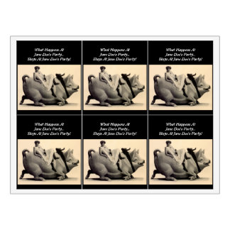 Rótulo De Garrafa De Cerveja Vinho Selvagem Vestir As Garotas De Porco Noturna 