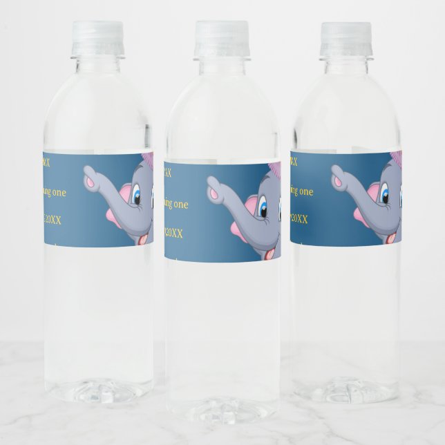 Rótulo De Garrafa De Vinho Aniversário de Elefante Fofo (Garrafas)