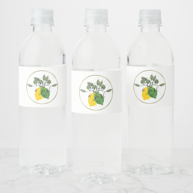 Rótulo De Garrafa De Vinho Aquarela Limoncillo Lima Limão (Garrafas)