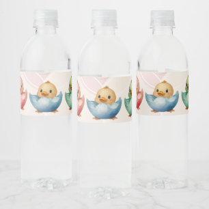 Rótulo De Garrafa De Vinho Aves de Ovo de Kawaii Cuta Chá de fraldas Colorido