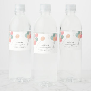 Rótulo De Garrafa De Vinho Balões de Festa de aniversário Coloridos de Pastel