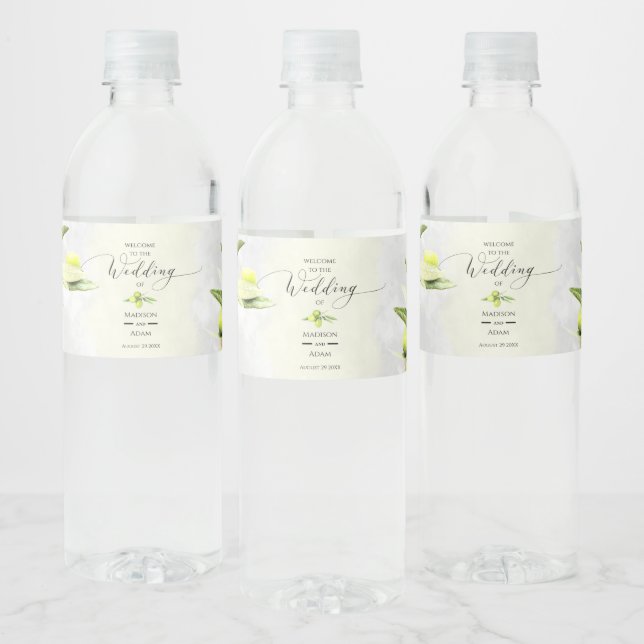 Rótulo De Garrafa De Vinho Casamento de Branques de Oliva de Aquarela Elegant (Garrafas)