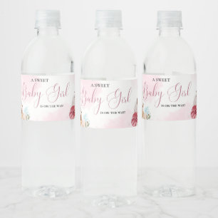 Rótulo De Garrafa De Vinho Chá de fraldas de Garota Floral de Abóbora Rosa