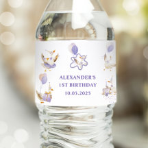 Festa de aniversário do ganso do bobo