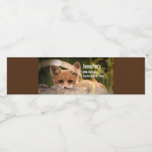 Rótulo De Garrafa De Vinho Foto de uma Raposa Laranja Bonita