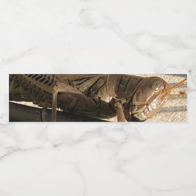 Rótulo De Garrafa De Vinho Gafanhoto  (Rótulo Único)