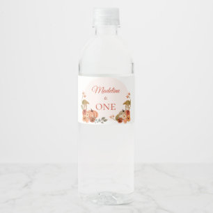 Rótulo De Garrafa De Vinho Garrafa de Água para Primeiro Aniversário de Abóbo