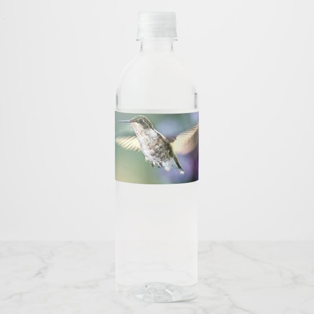 Rótulo De Garrafa De Vinho Hummingbird Voando (Frente)