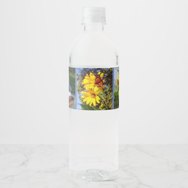 Rótulo De Garrafa De Vinho Jardim de Borboletas (Frente)