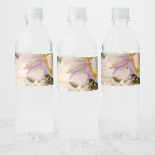 Rótulo De Garrafa De Vinho Lily no script antigo