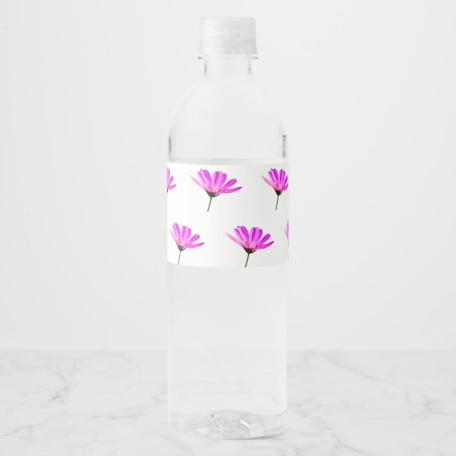 Rótulo De Garrafa De Vinho Margarida Rosa  (Frente)