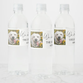 Rótulo De Garrafa De Vinho Nós também temos costume de casar animais de estim