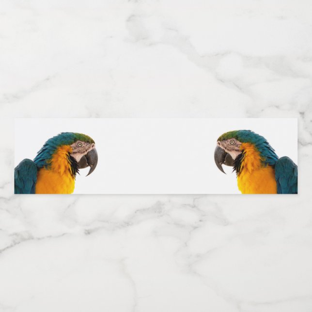 Rótulo De Garrafa De Vinho Parrot  (Rótulo Único)