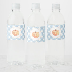 Rótulo De Garrafa De Vinho Pequena abóbora xadrez azul pastel primeiro aniver