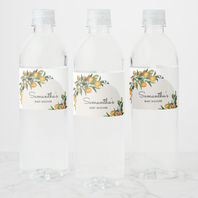 Rótulo De Garrafa De Vinho Pequeno Citrus Orange (Garrafas)