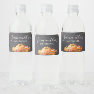 Rótulo De Garrafa De Vinho Piquenique de Outono do Pequeno Abóbora Baby Showe