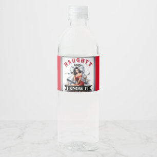 Rótulo De Garrafa De Vinho Retro Naughn e Eu Sei Que É Pino De Natal