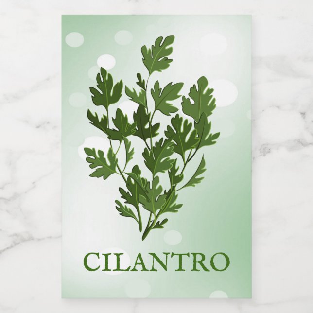 Rótulo de Herbos Cilantro (Rótulo Único)