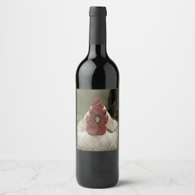 Rótulo de Vinho de Frango (Frente)