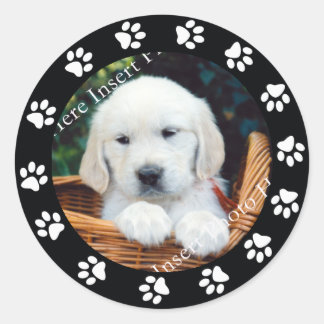 Rótulo do adesivo Pet Puppy Dog Paw Print Border F