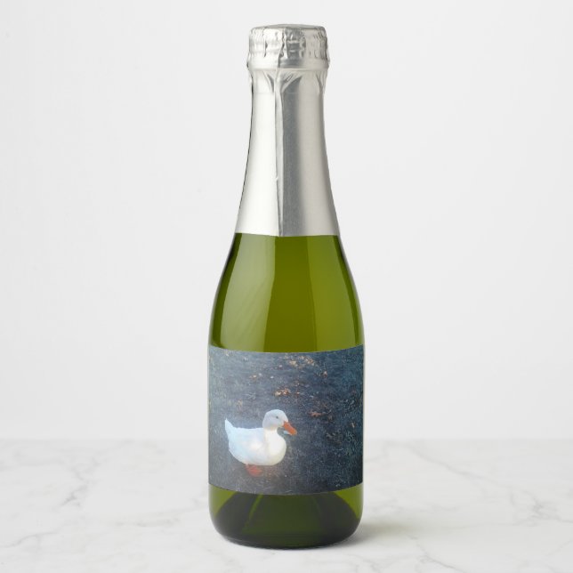 Rótulo do frasco (Frente)