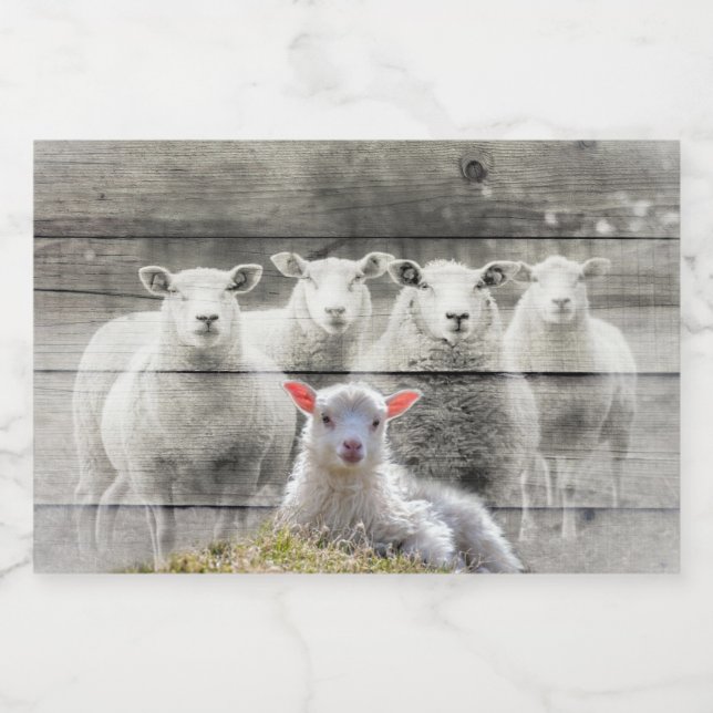 Rótulo Para Comida Bando de Ovinos (Rótulo Único)