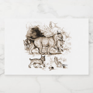 Rótulo Para Comida Família Bobcat