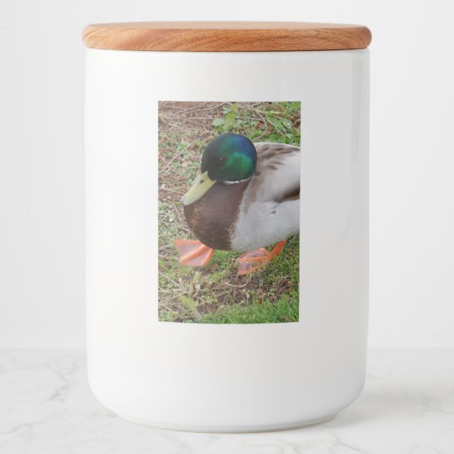 Rótulo Para Comida Rótulo do contêiner da Comida do Pato Verde (Frente)