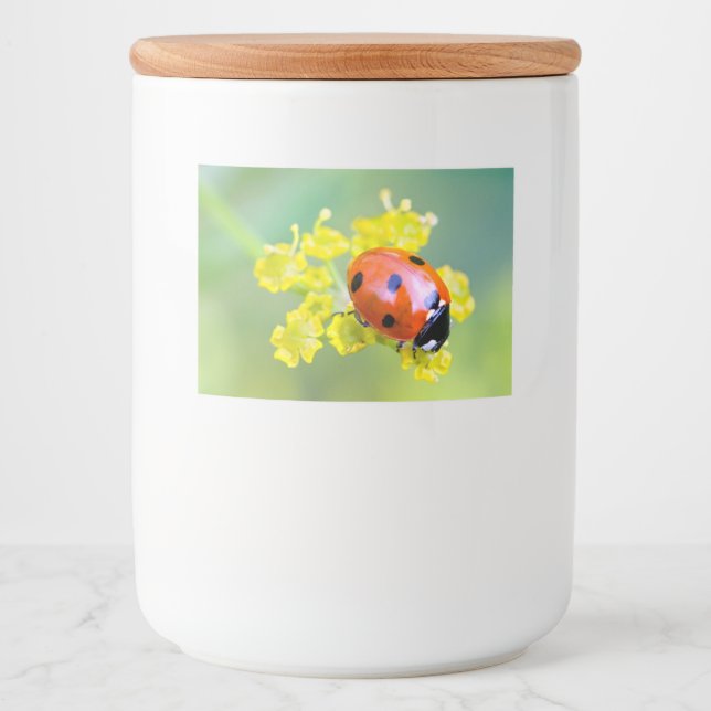 Rótulo Para Comida senhora no topo (Frente)