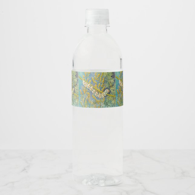 Rótulo Para Garrafa D'água Cucullia Absinthii Wormwood Caterln (Frente)