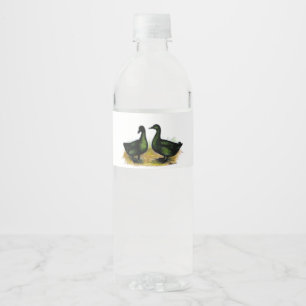 Rótulo Para Garrafa D'água Patos: Cayuga Pair
