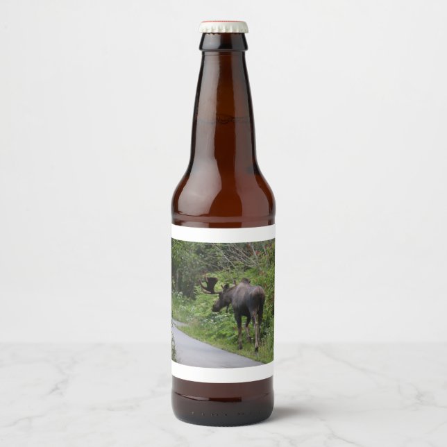 Rótulo Para Garrafa De Cerveja Alasca - Moose (Frente)
