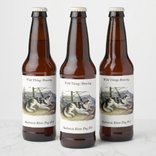 Rótulo Para Garrafa De Cerveja Cachorro-índio (Cachorro do Rio Mackenzie) de Audu