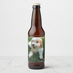 Rótulo Para Garrafa De Cerveja Foto personalizada de Cavachon, cão