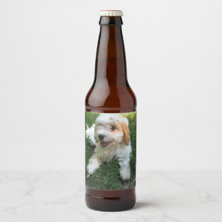 Rótulo Para Garrafa De Cerveja Foto personalizada de Cavachon, cão
