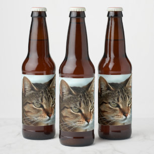 Rótulo Para Garrafa De Cerveja Impressionante Tabby Cat Close-up Retrato Artísti