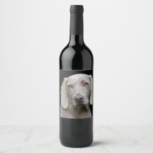 Rótulo Para Garrafa De Vinho Cinzas de Prata do Weimaraner