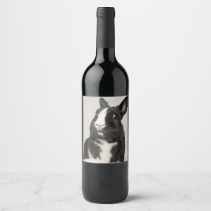 Rótulo Para Garrafa De Vinho Coelho de coelho preto e branco adorável