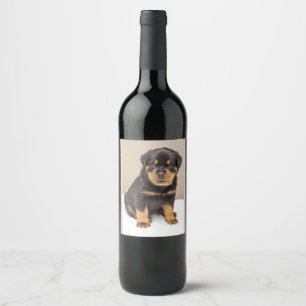 Rótulo Para Garrafa De Vinho Filhote de cachorro bonito de Rottweiler