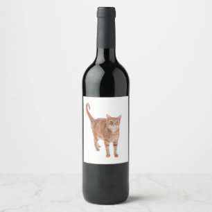 Rótulo Para Garrafa De Vinho Gato de gato malhado alaranjado