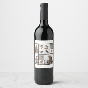 Rótulo Para Garrafa De Vinho Pássaros na coleção da neve