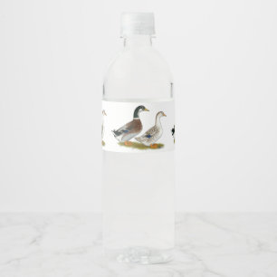 Rótulo Para Garrafa De Vinho Patos: Prata
