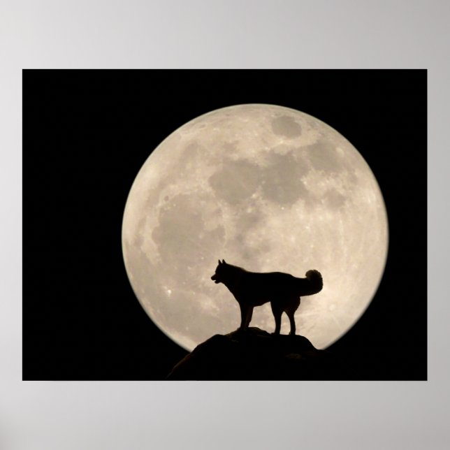 Rouco Arte Impressão Dog Arte Poster Ofertas para  (Frente)