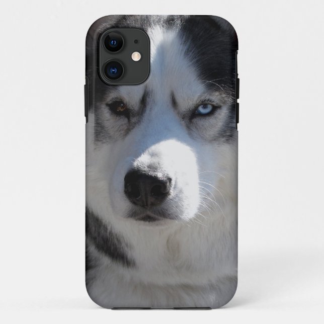 Rouco Cachorro capas de iphone Rouco Malamute Capa (Verso)