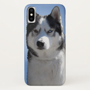 Rouco Dog capas de iphone Rouco Malamute Pup Capas