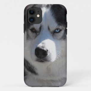 Rouco Dog capas de iphone Rouco Malamute Pup Capas