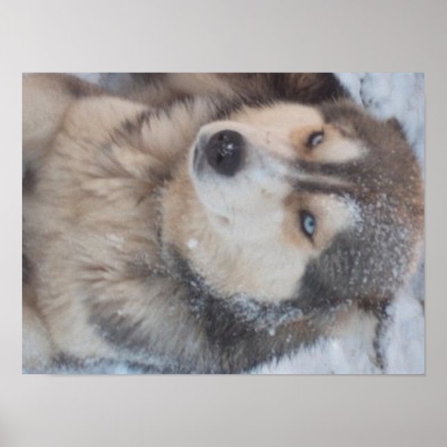 Rouco poster (Frente)