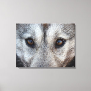 Rouco Pup Rouco Wolf Pup Canvas Impressão